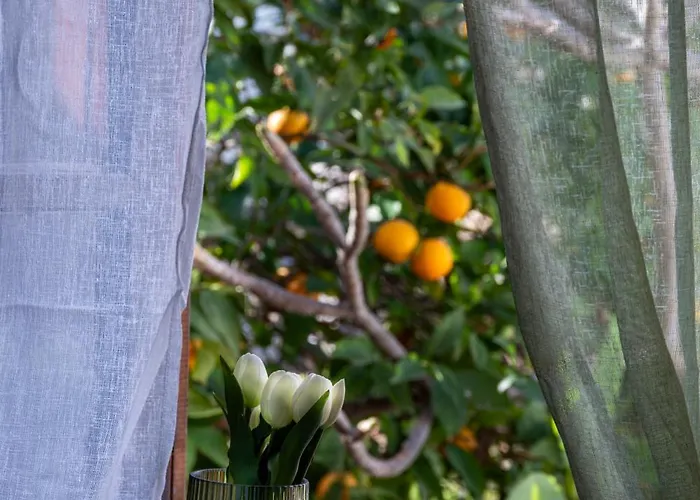 Lägenhet St Nicholas Traditional House Rhodes City